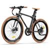 Electric Bike Adult FAFREES F1 250W Motor City Electric Bike Top Speed 25Km/h 36V 10AH Range 90Km Load 150kg