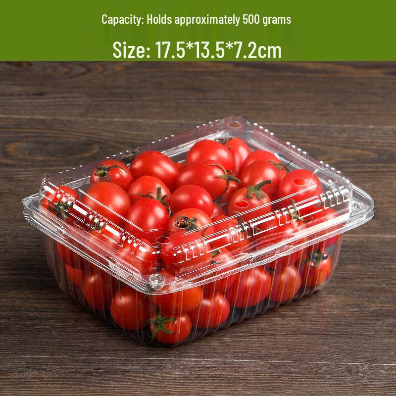 

Disposable Plastic Food Containers with Lids