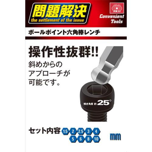 SK11 Bolt Hold Hex Wrench Set, Extra Long, 25 Incline, SLBW09EL-SB