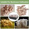 24x Mushroom Adhesive Filter Discs For Moisture Preservation Mushroom Grow Box Monotub Filters Cotton Humidity Retention Screen