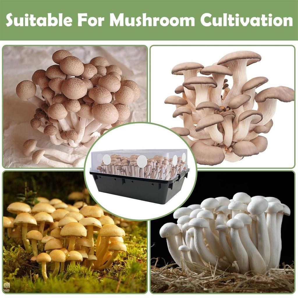 24x Mushroom Adhesive Filter Discs For Moisture Preservation Mushroom Grow Box Monotub Filters Cotton Humidity Retention Screen