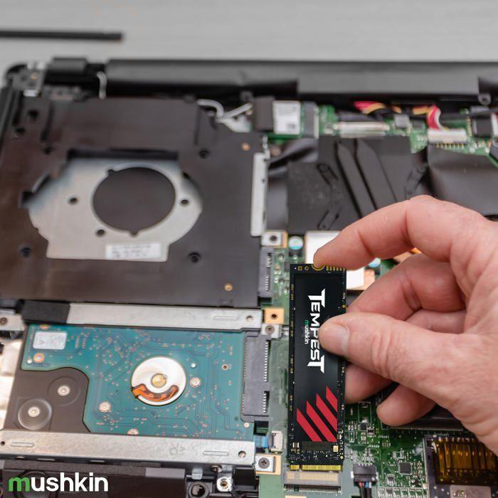 SSD - MUSHKIN - TEMPEST M.2 - 256 Go - PCI Express 3.0 - NVMe