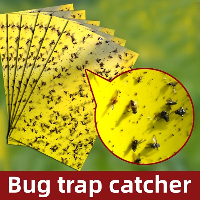 Double-sided Insect Sticky Device Can Quickly Catch All Kinds of Flying Insects, Insect Trap Board for Catching Small Flying Insects