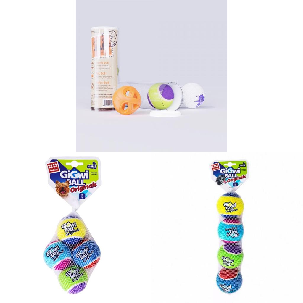Gi Gwi Squeaky Rubber Pet Toy Pack For Dogs With Chewing And Interactive Play