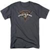 Superman "Take Wing" T-Shirt - Regular or Tank - To 5X