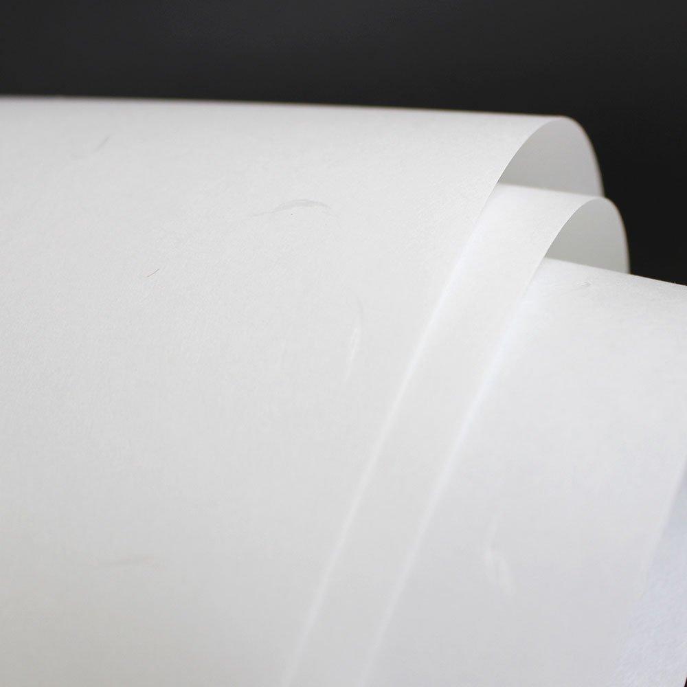 SAKAE Technical Paper OA Washi (Japanese paper), Thick, 80g/m2, Large Ceremonial Paper, A4, White, 500 sheets, A4-WA-WN500