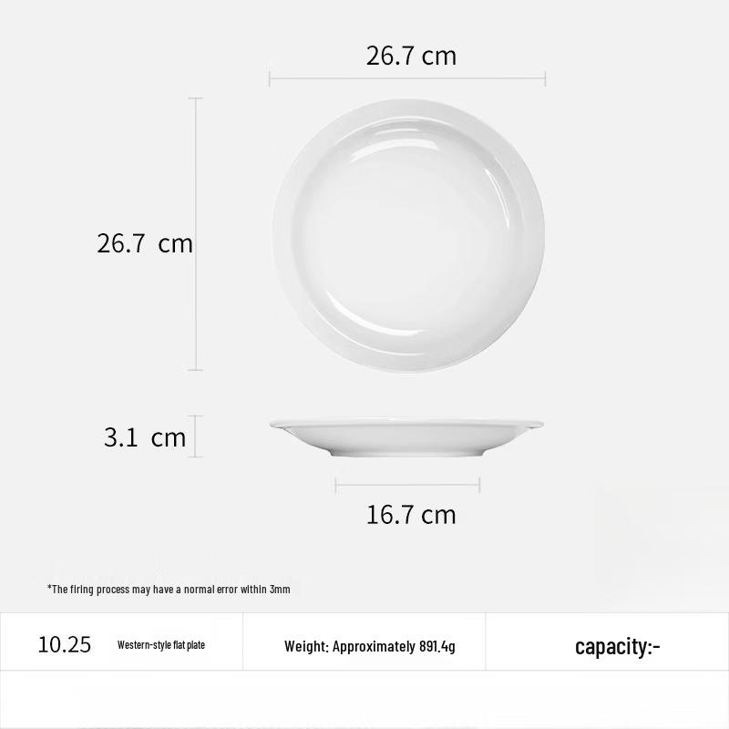 ZHISHI 10.25-inch Ceramic Flat Dinner Plates (4-Pack)