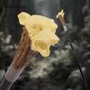 Yellow Resin Wolf Head Tree Root Walking Cane Fashion Decorative Steel Stick Gentleman Elegant Cosplay Cane Knob Crosier 94cm