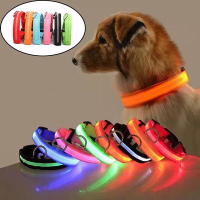 Köpek – Köpek Tasmaları ve Tasma Kayışları