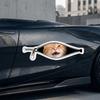 Creative Car Stickers Scratch Covering Car Decorative Sticker Pet Car Stickers  Car Window Glass