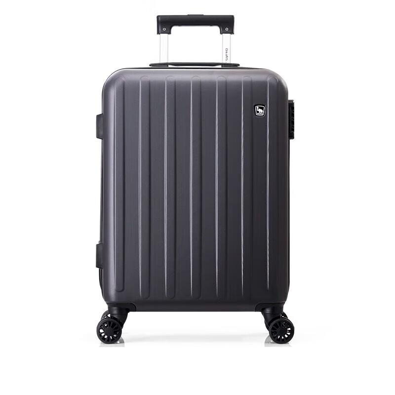 OIWAS 28-inch Suitcase