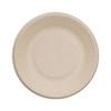 Biodegradable Disposable Dinner Plates