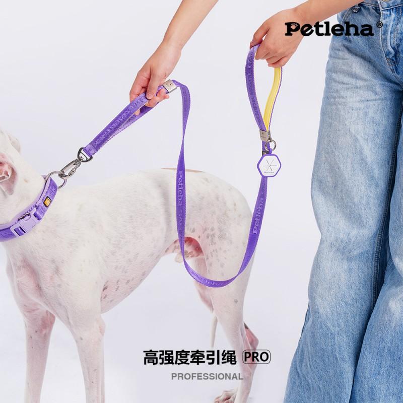 Dog Leash No Hand Chafe Small Large Dogs Pet Walking Lead S M Length Options