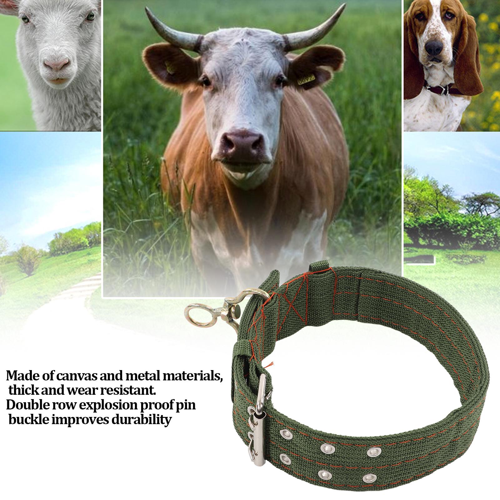 

Ошейник для сельскохозяйственных животных Ошейник для овец Износостойкий Ошейник с пряжкой-турникетом Ошейник-галстук для сельскохозяйственных животных для коровы козы овцы Ошейник S