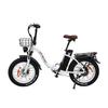 DRVETION CT20 Folding Electric Bike 250W Motor 48V 10Ah Battery