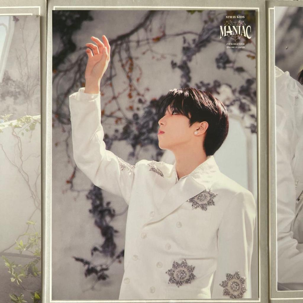 [USED] Limited-time Offer: Stray Kids Maniac Postcard - Felix Han