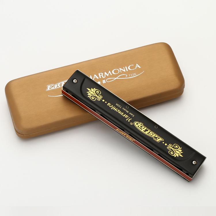 Dongfang's 22-Hole C Key Polyphonic Harmonica for Beginners and Adults