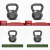 Iron Triangle Combat Fitness Kettlebell Pair