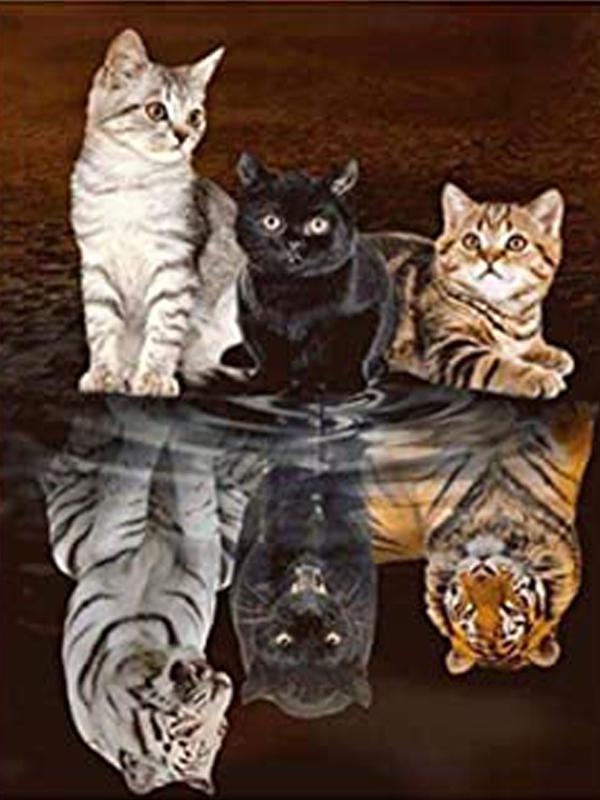 

Алмазная вышивка Пейзаж Алмазная картина Наборы для вышивки крестом ВышивкаНаборы для алмазной живописи Полный дрель 30*40cm