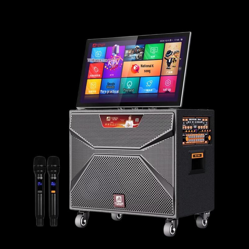 Malone Portable KTV Speaker with 22-inch Display CN Plug (adapter Included)