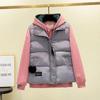2024 Damen Koreanischer Stil Daunen-Baumwollweste - Frühjahrs-/Herbst-Oberbekleidung, Winterjacke