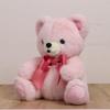 Takeoff Plush Bear Popolibon M Pink