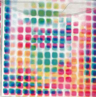 

CD NISENNEN MONDAI - #n/A BRC479PROMO BEAT Japan Obi Japanese Pop/Rock Used