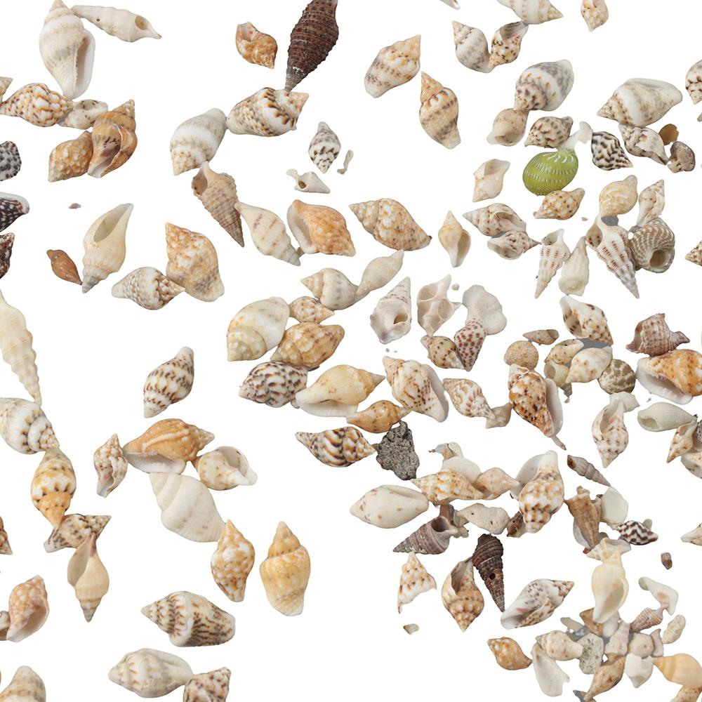 1500 szt. spiralnych muszelek morskich 1500 szt. zawieszek rzemieślniczych mieszanych muszelek morskich impreza tematyczna na plażę