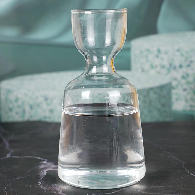 Transparent High Borosilicate Glass Hydroponic Avocado Seed Growing Vase