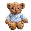 Delightful Bear Teddy Plush Stuffed Animal Cuddly Bear Doll Cute 30cm Design
