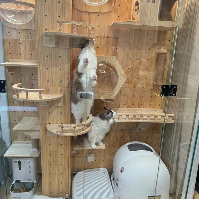 Wooden Cat Climbing Shelf Furniture Shelves for Cats Perches Activity Cat Tree Scraper Stairs Scratching Post Cat Wall Furniture