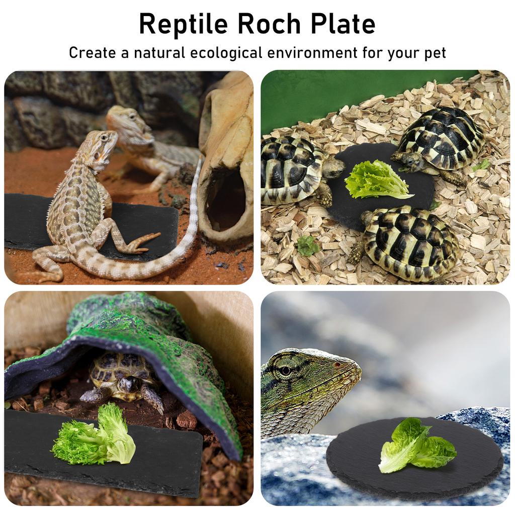3 Pcs Reptile Basking Platform Tortoise Rock Plate Slate Reptile Basking Platform Feeding Dish Natural Rock Bathing Resting Plat