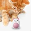 Kedi – Kedi Oyuncakları