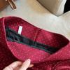 Preppy Style Pleated Skirts for Women Sweet A-line Short Skirts Comfortable Dot Mini Skirt  Party