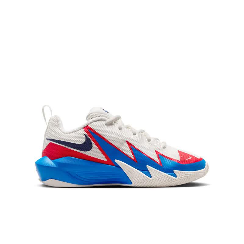 Nike Women's Performance Basketball Shoes