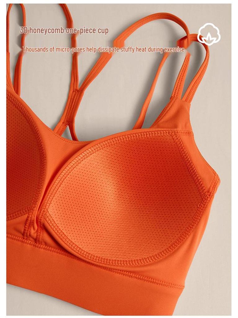 High-Impact Sports Bra with Shockproof Design and Supportive Back Padding