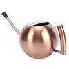 Watering Can with   Spout 1000ml Stainless Steel Round Indoor Plant Watering Can with Detachable Head for Home Garden Flower