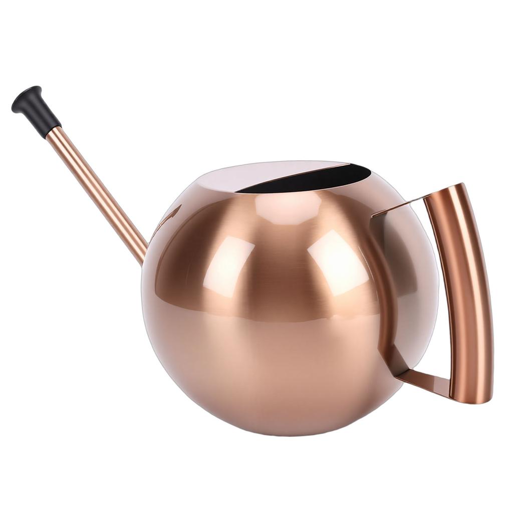 Watering Can with Spout 1000ml Stainless Steel Round Indoor Plant Watering Can with Detachable Head for Home Garden Flower