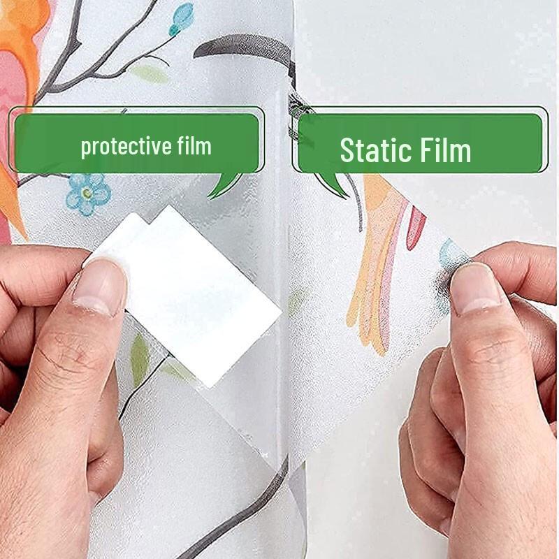 Colorful Birds Frosted Privacy Window Film