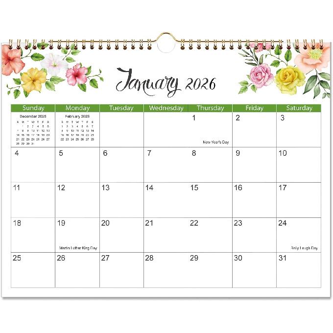 2026 Wall Calendar, 2026-2027 Calendar Runs from January until June 2027, 14.5" x 11.5", Monthly Hanging Calendar with Twin-Wire Binding, Hanging