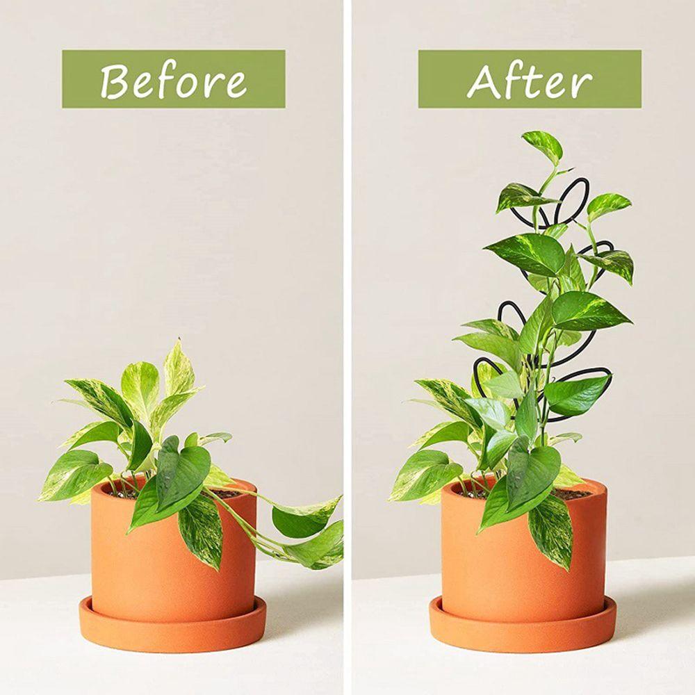 Vine Pillar Multifunctional Planting Rack Stand Frame Flower Climbing Holder Indoor Trellis