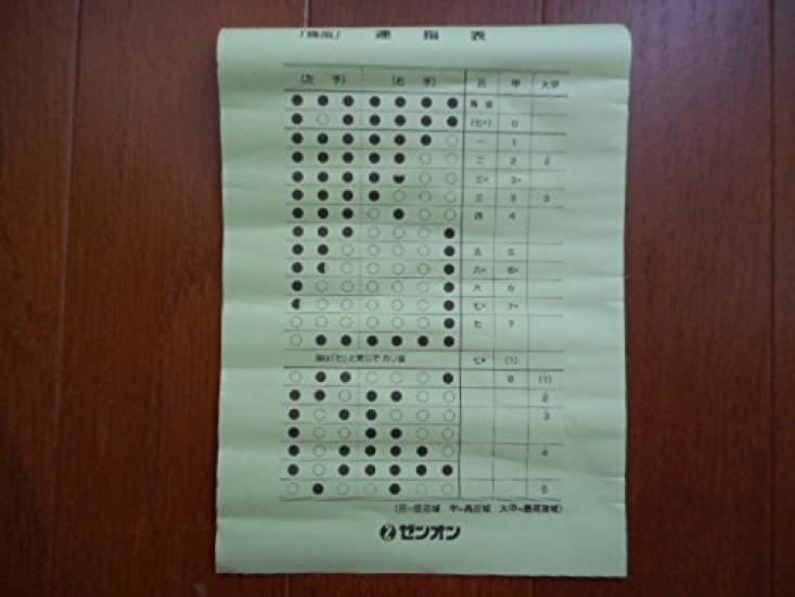 Plastic Tube Shinobue Seven Seven Keys Zen-On Flute, Holes,