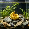 Moon Aquarium Hideout Cave Fish Tank Moon Ornament Multi-Hole Aquarium Hideout Tunnel for Small Fish And Shrimps