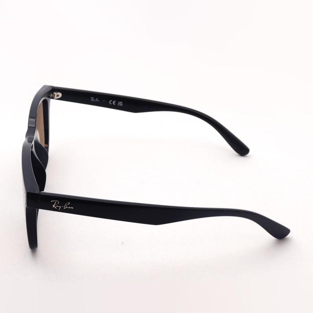 RB4391D Asian Design Ray-Ban