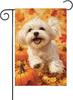 Maltese-Leaning Over The Pumpkins Garden Ag 12x18 Double Sided, Burlap Small Fall Leaves Garden Yard House Ags Outside O EEL