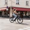 Bicicleta Eléctrica DUOTTS C29 Max 250W48V18Ah, Frenos de Disco Hidráulicos Autonomía 120km Velocidad Máxima 25km/h Bicicleta Eléctrica