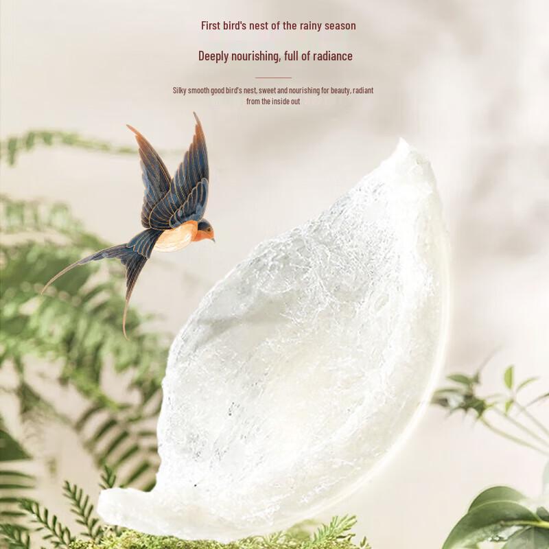 Fudonghai Vogelnest Milchfischblase