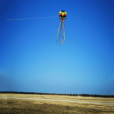 1 Set Giant Soft Kites For Adults Outdoor Toys Rainbow Colored 3D Octopus Soft Kite 4M Giant Kite With 100M Tire Line