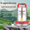 Delixi 12V DC Submersible Pump for Electric Vehicles & Agricultural Irrigation with Remote Control