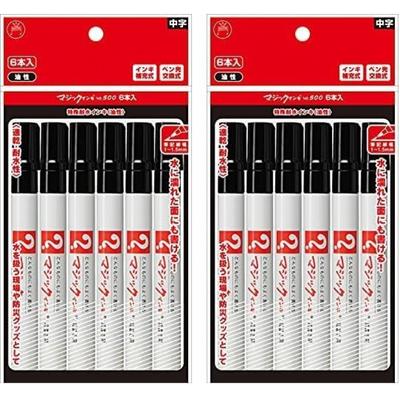 Teranishi Chemical Magic Ink  Permanent Pen  No. 500  Fine Writing  Medium  Black  6 Pcs  M500 T1 6p  X2   2 Packs